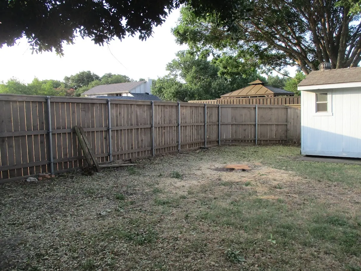Cleared yard after professional tree removal in Enola